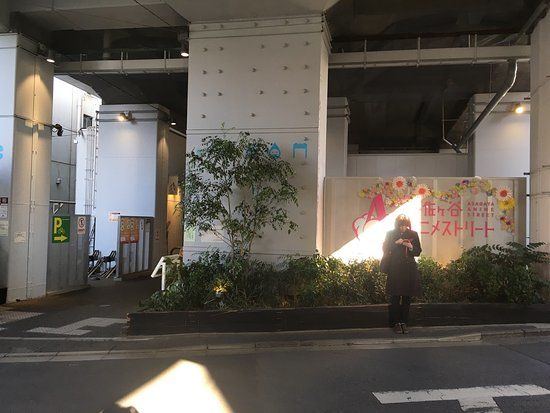 Asagaya Anime Street